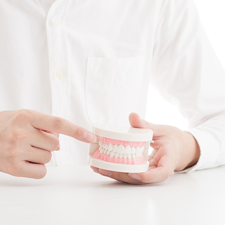 入れ歯・ブリッジ